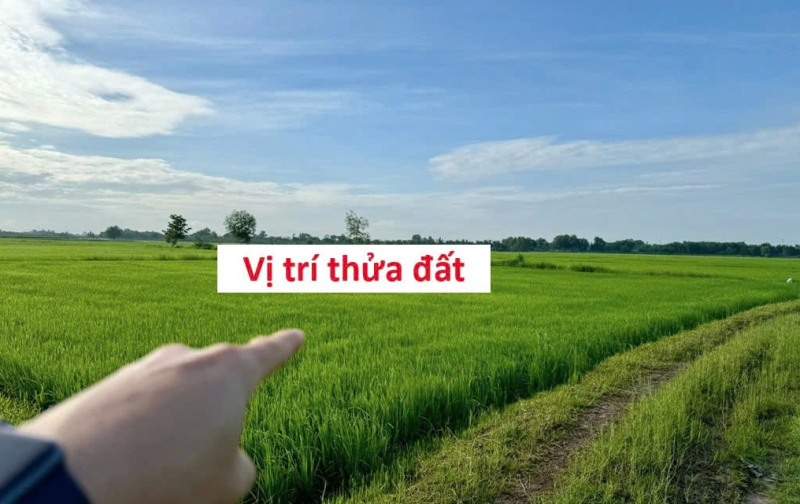 BÁN ĐẤT CHÍNH CHỦ KHÔNG QUA MÔI GIỚI, CẦN RA GẤP GIÁ TỐT